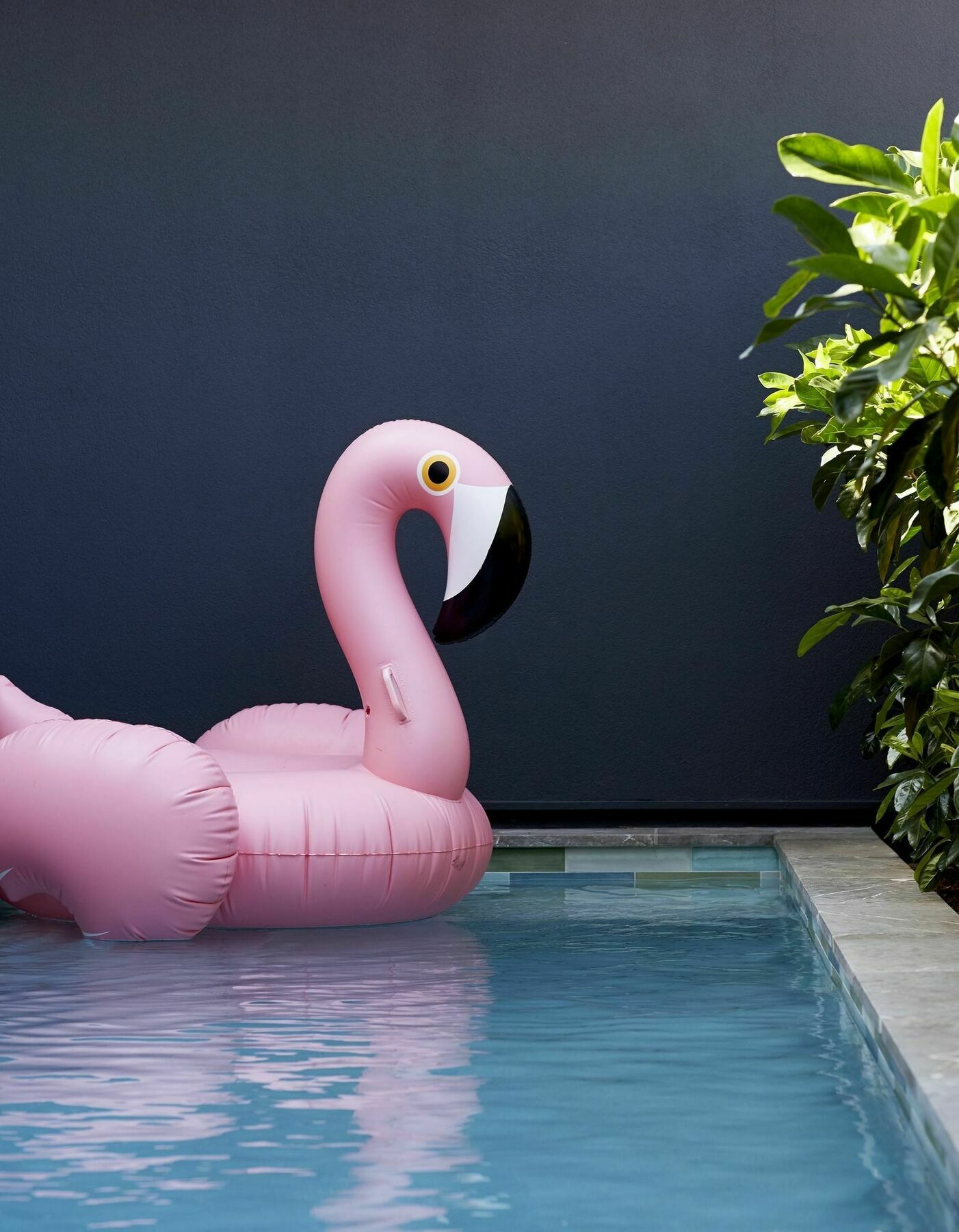 Hotel 28 Degrees Byron Bay - Adults Only Esterno foto